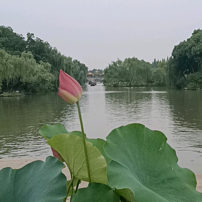 月老哥剃头刮脸