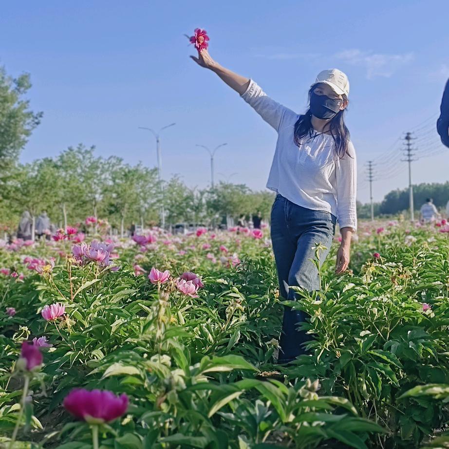 船娘云姐&《拒绝连赞》