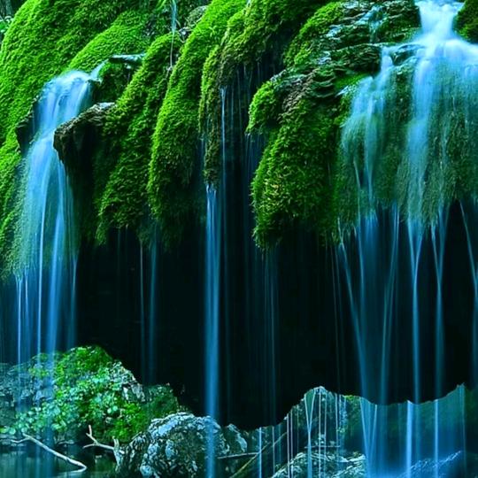 单身妹聊天主播