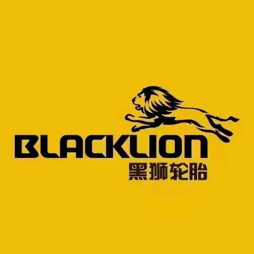 专业。修车。补轮胎。金宇黑狮。建新代理