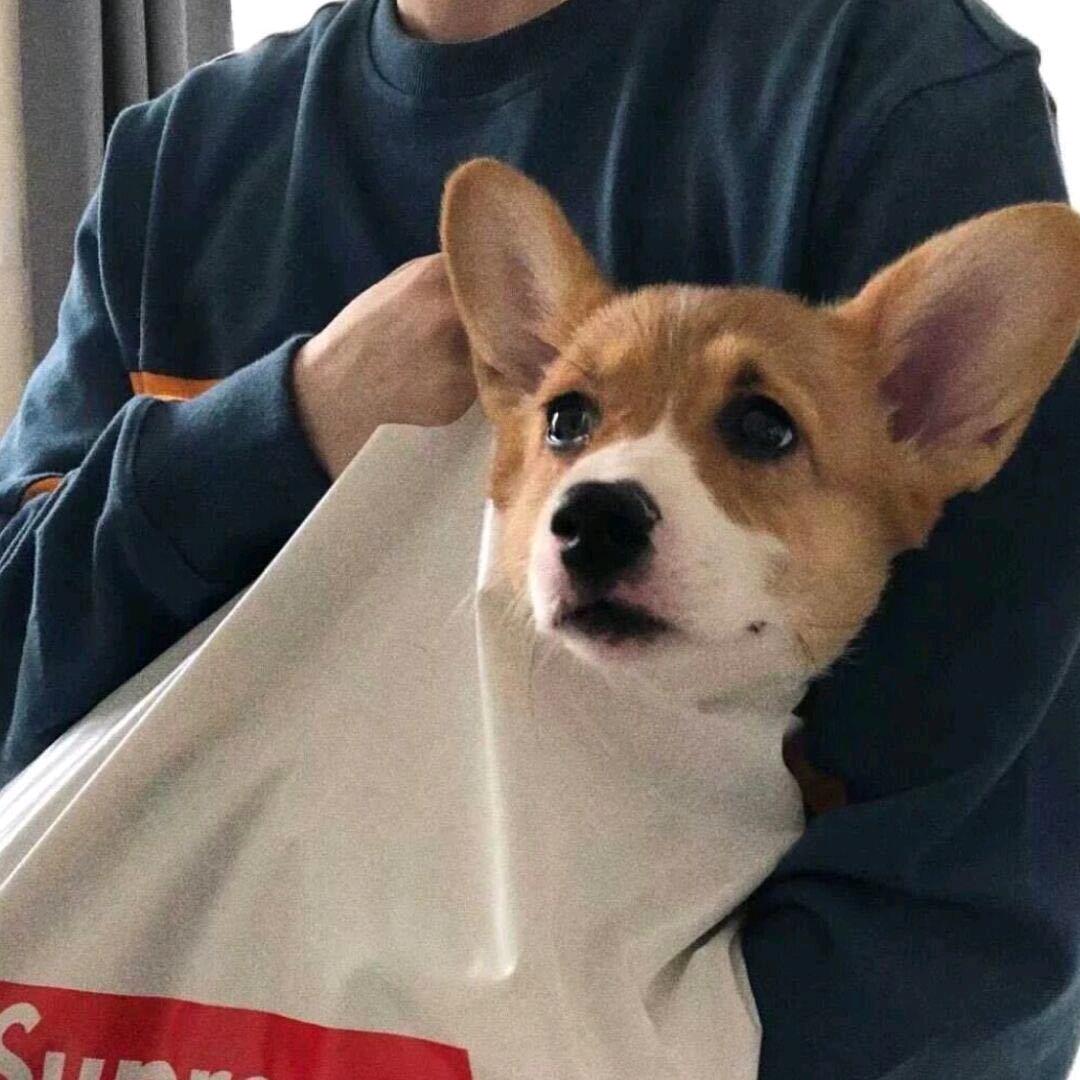 油麦菜（狼人杀）