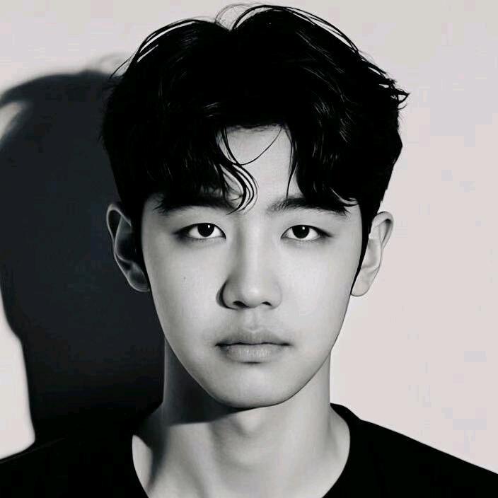 a羊驼🦙（养成版）