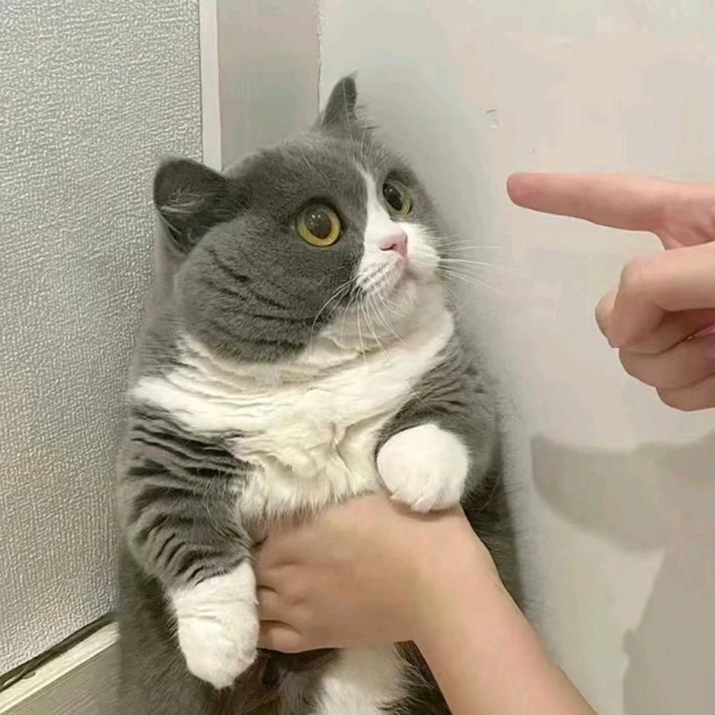 Tom