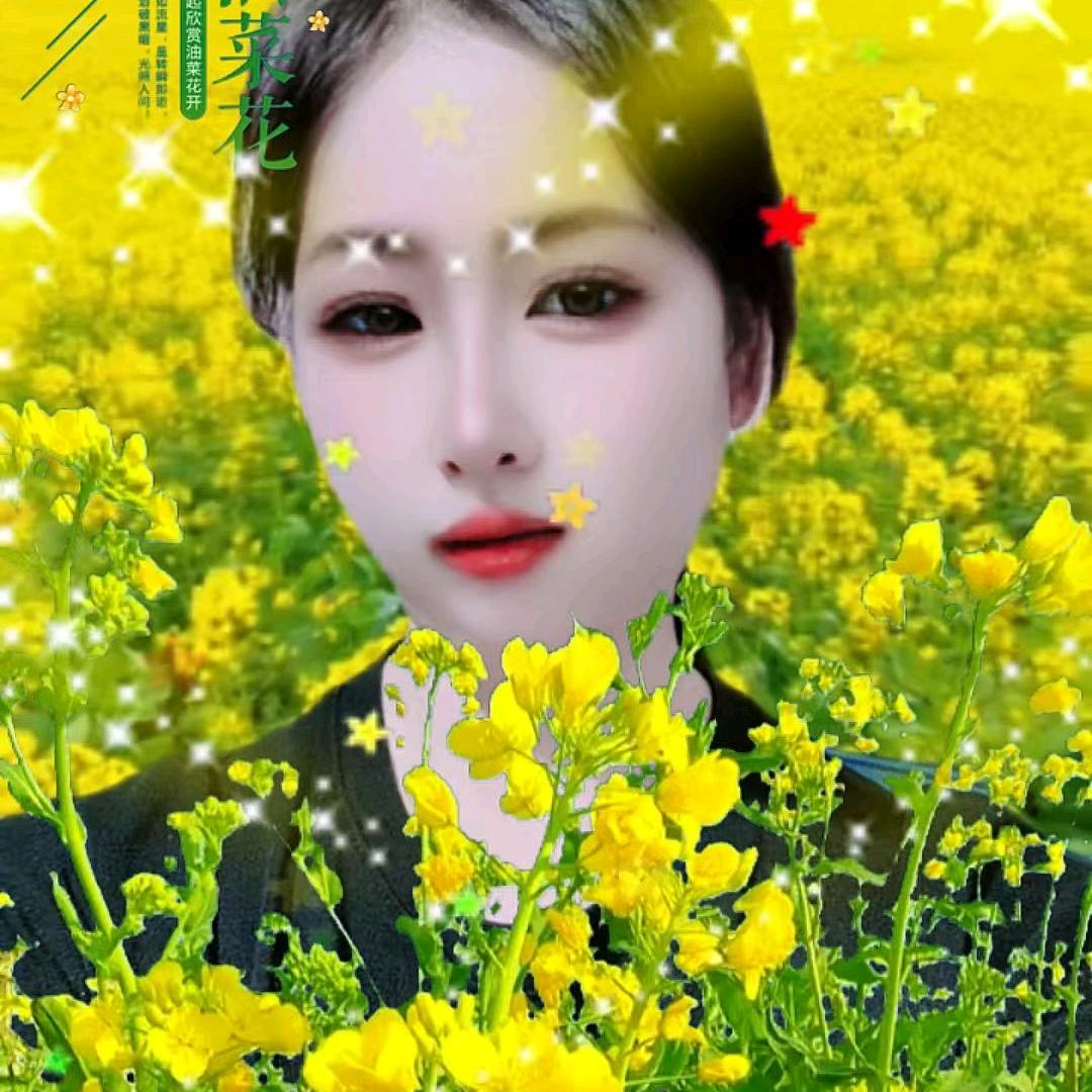 单身女人找真爱