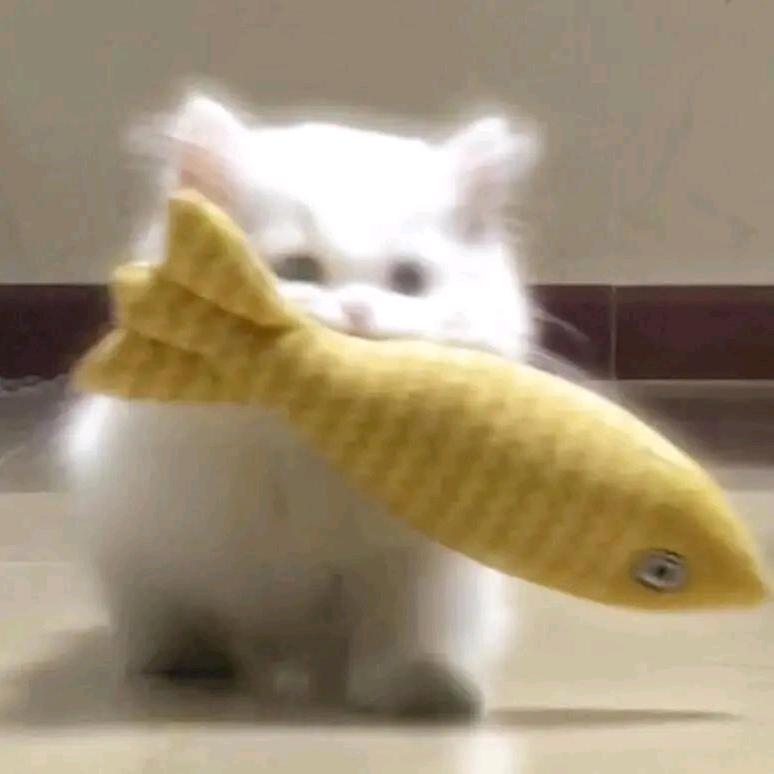 哇哒瓜嚓~