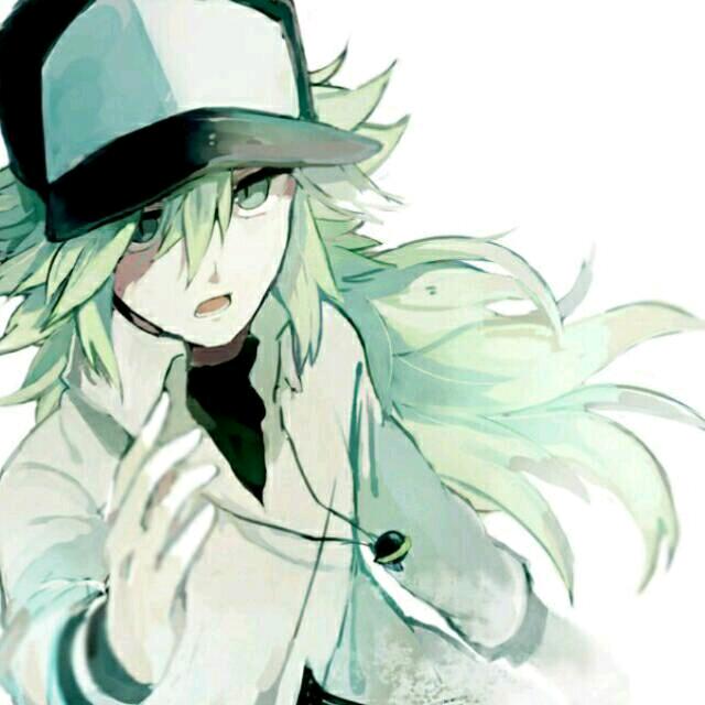 大猫one