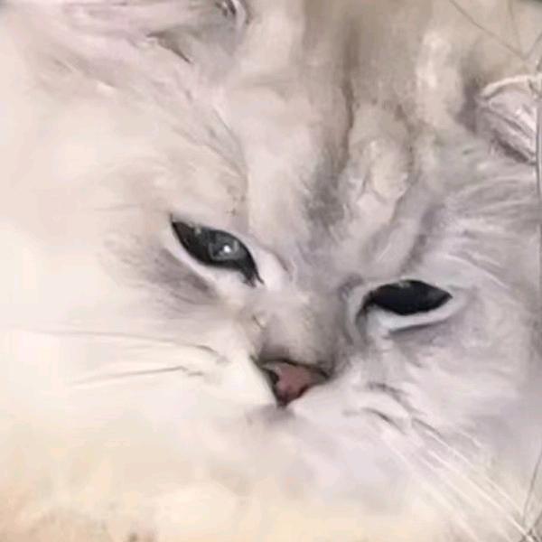 不过一场时间游戏