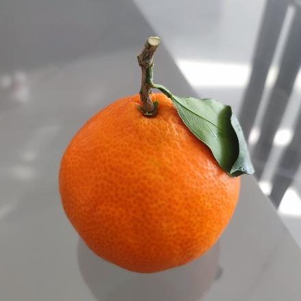 林熙