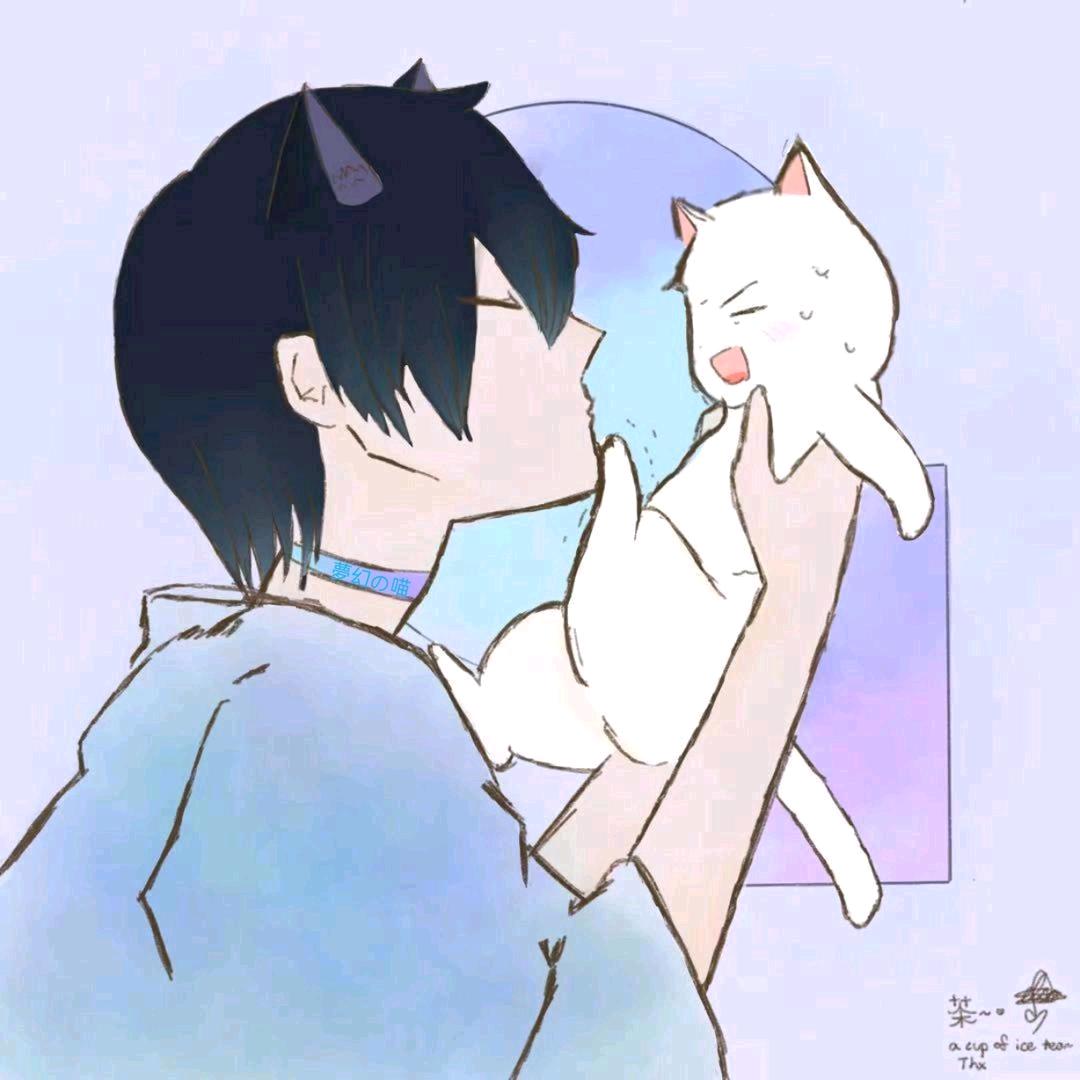喵雾