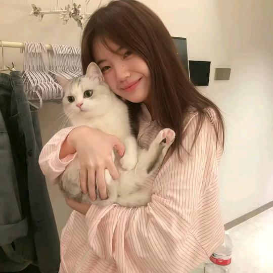 顺顺尼