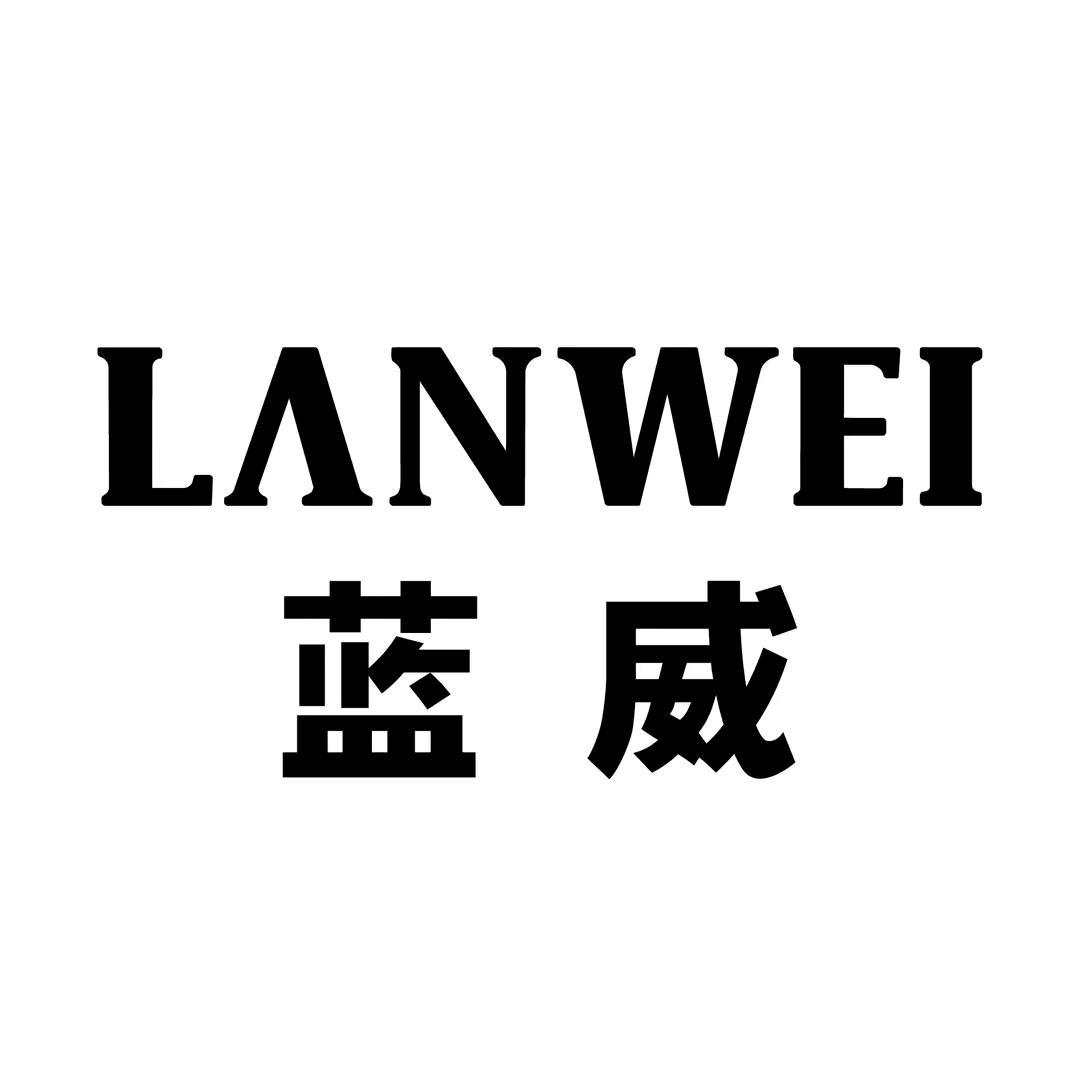 蓝威金脉步行街店👑