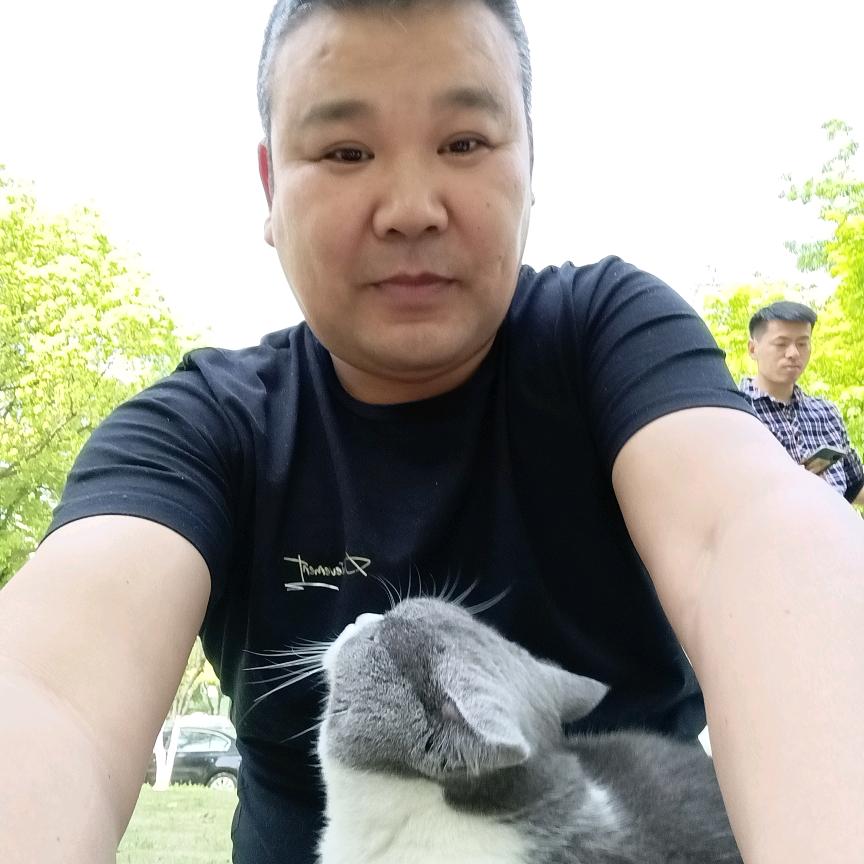 自由的猫