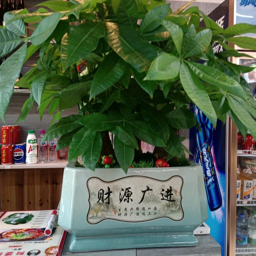 平安快乐