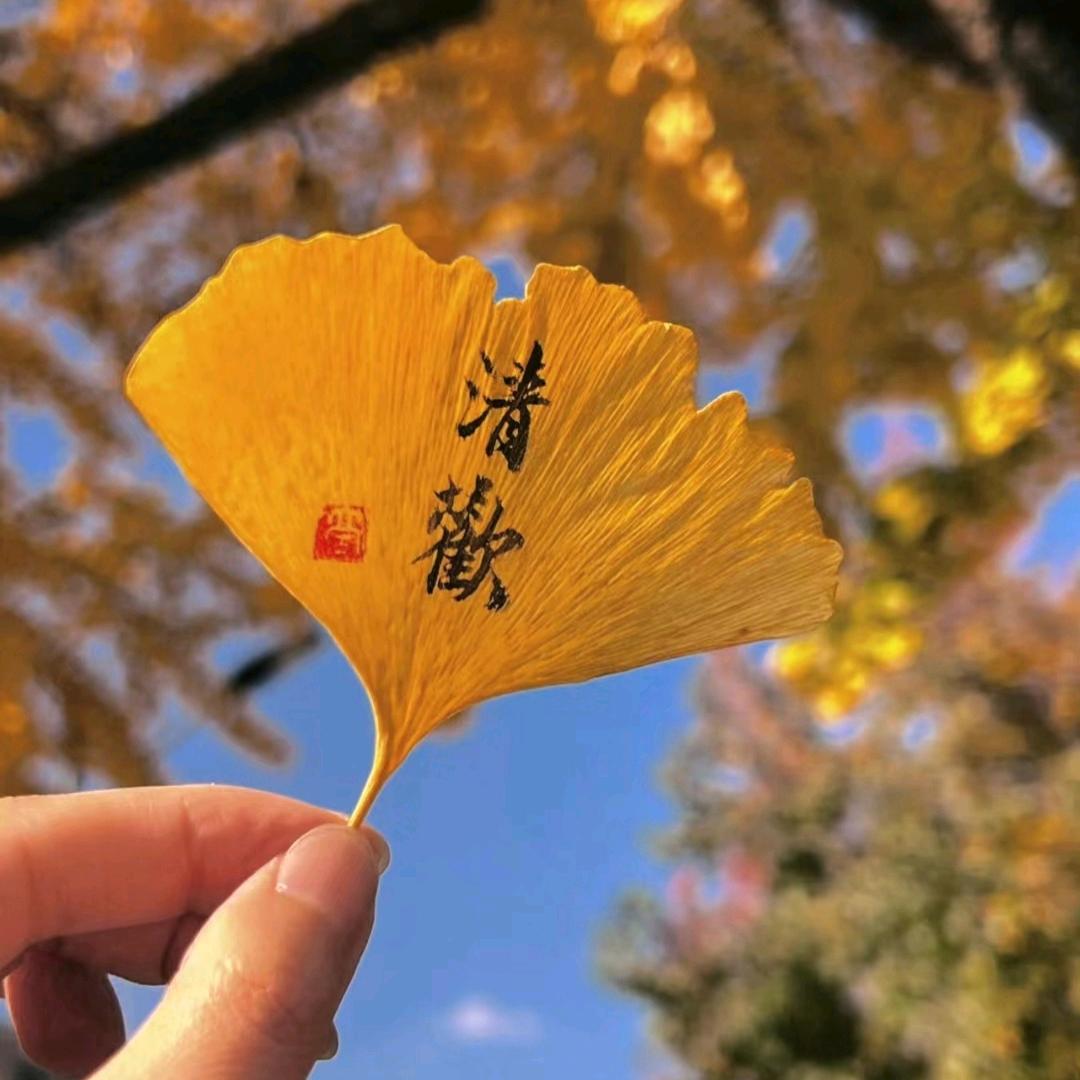 瑶秘书