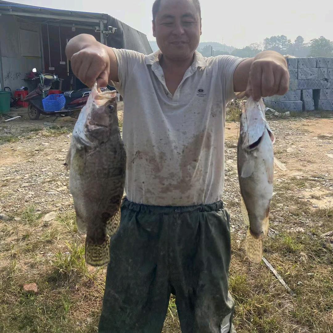 三合生态钓场🎣