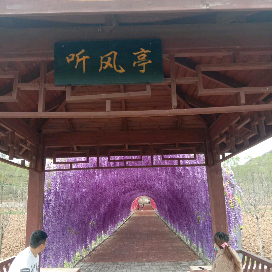 花香哥