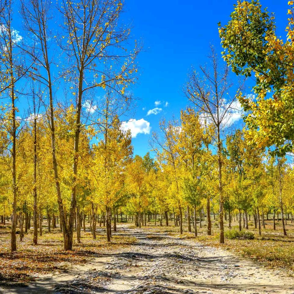 👉གངས་ཕྲུག་👈