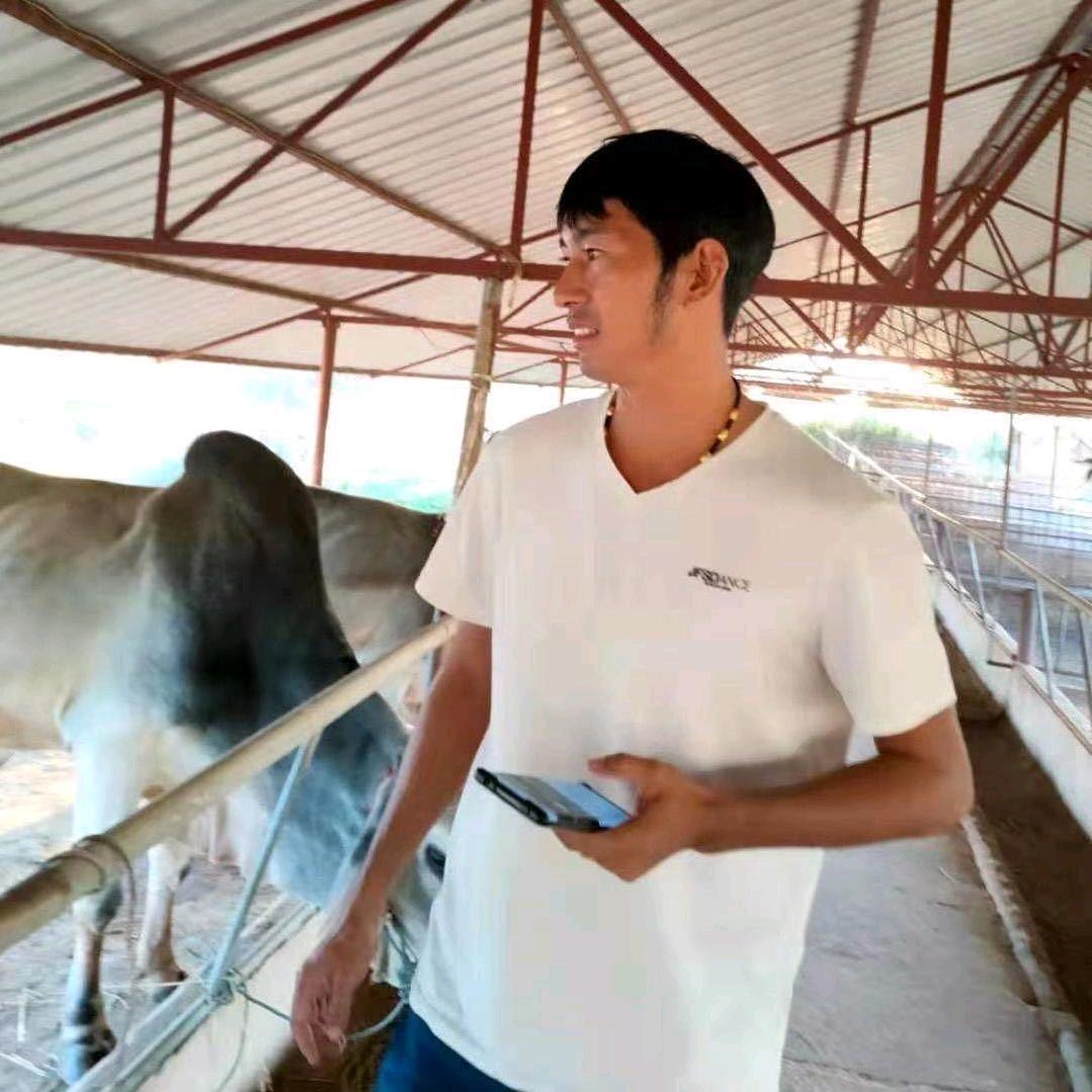 邦康牛🐮贩子