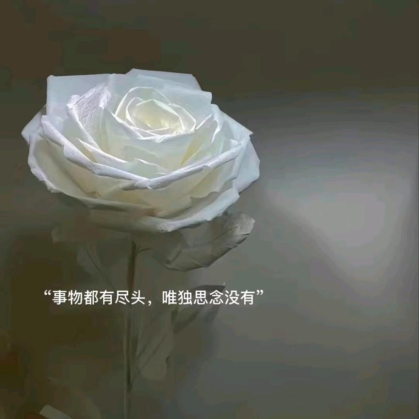 安稳人生