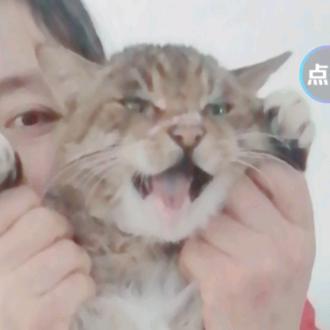 阿三花