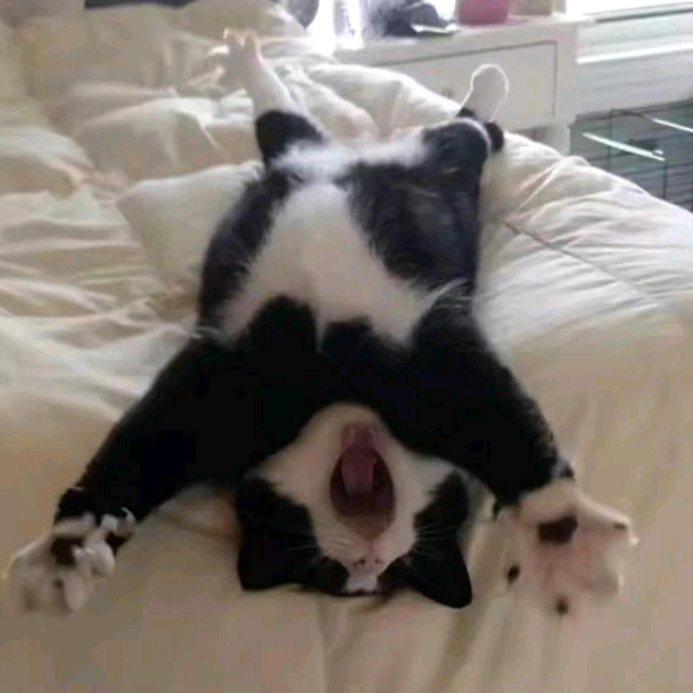 哎叽叽叽叽