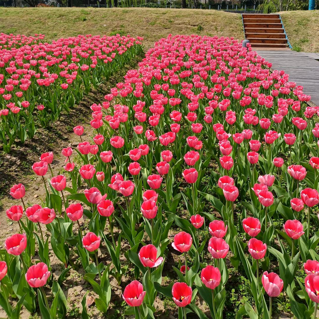 不忘初心🍒🍒