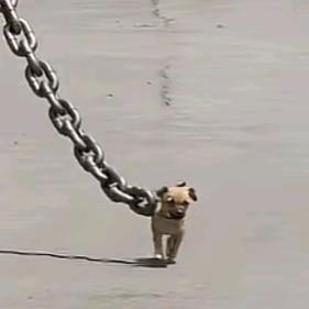 前程似锦