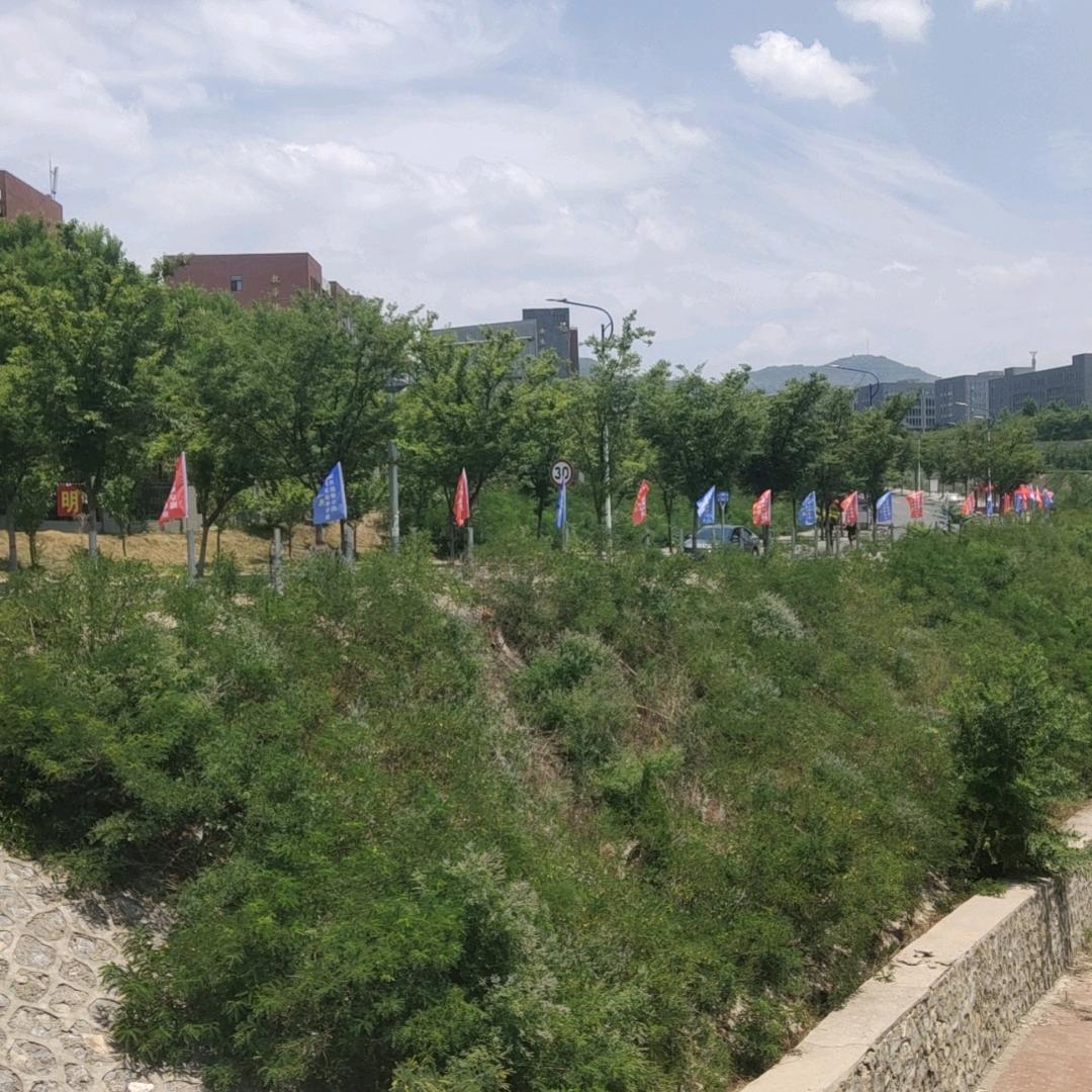 职业教育咨询王老师