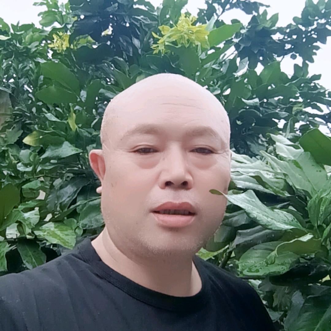 诚信（任）