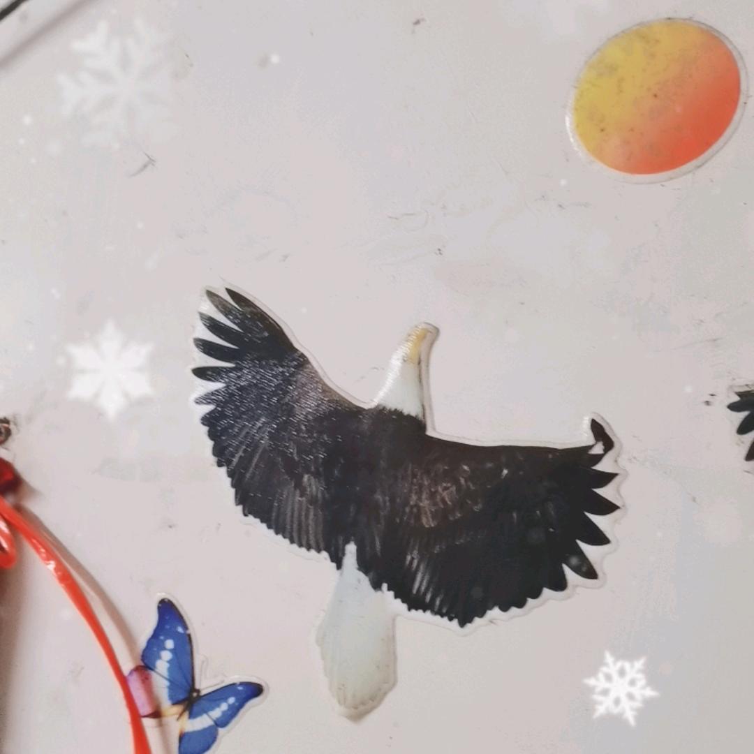 明天的明天