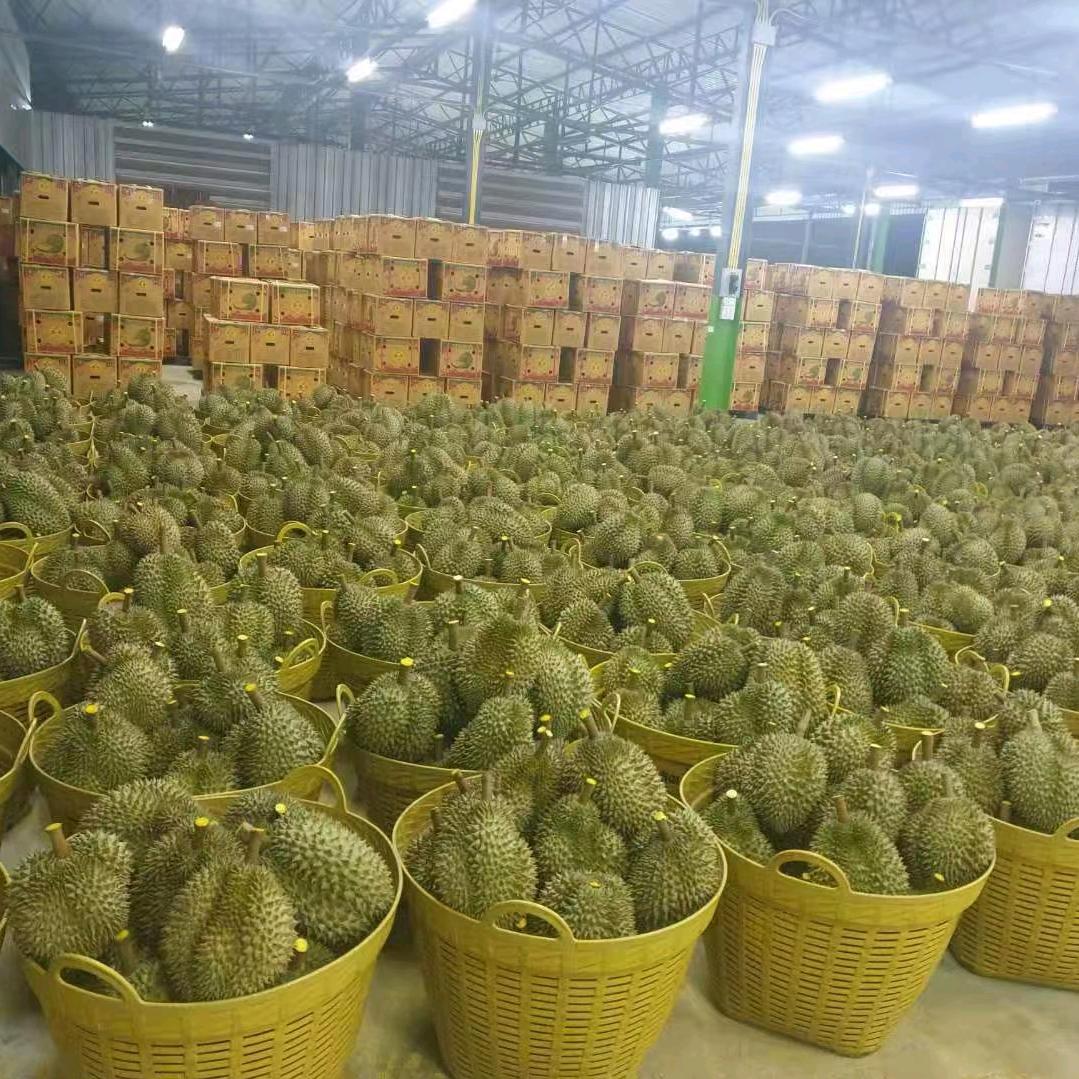 四季鲜果蔬玫瑰城