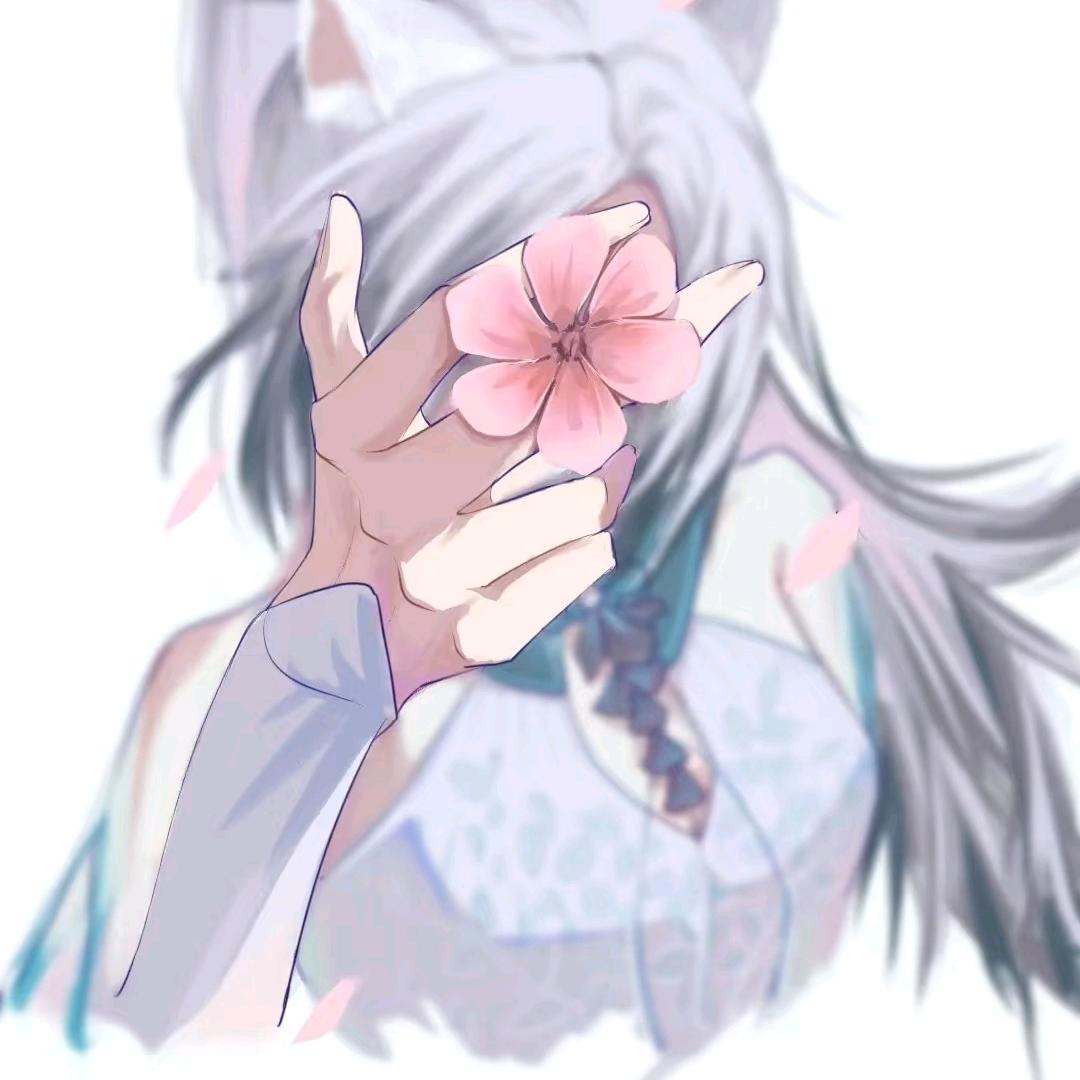小椿天天开心