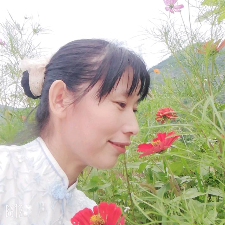 兜兜