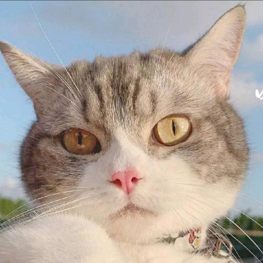 火熊