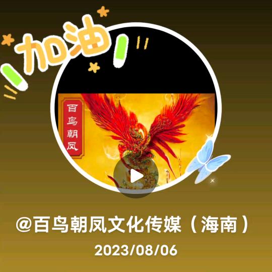 百鸟朝凤 铭垣智汇