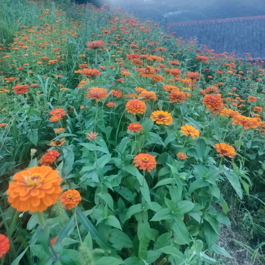 ℳ̶̶̶̶໌໌້ᮨ꧔ꦿ*꯭͡遇见꧔ꦿ