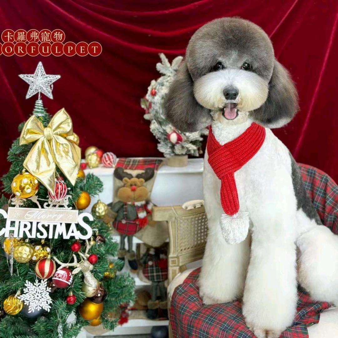 优雅小发财的日记～