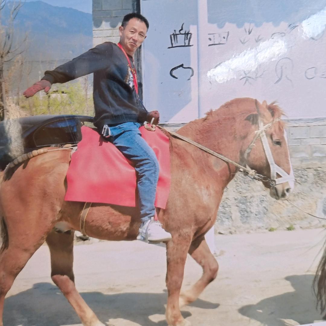 谜一样的生活