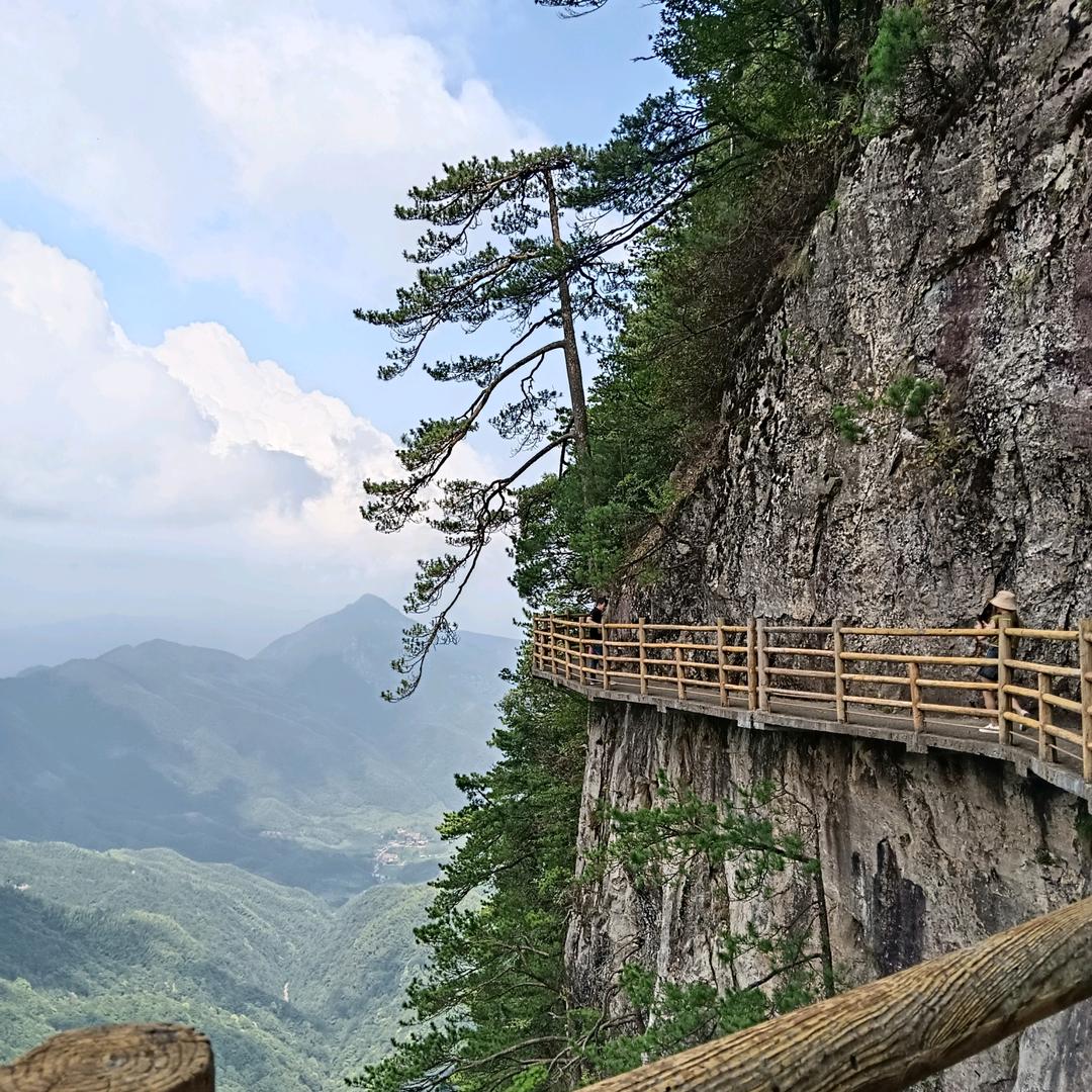 往后餘生
