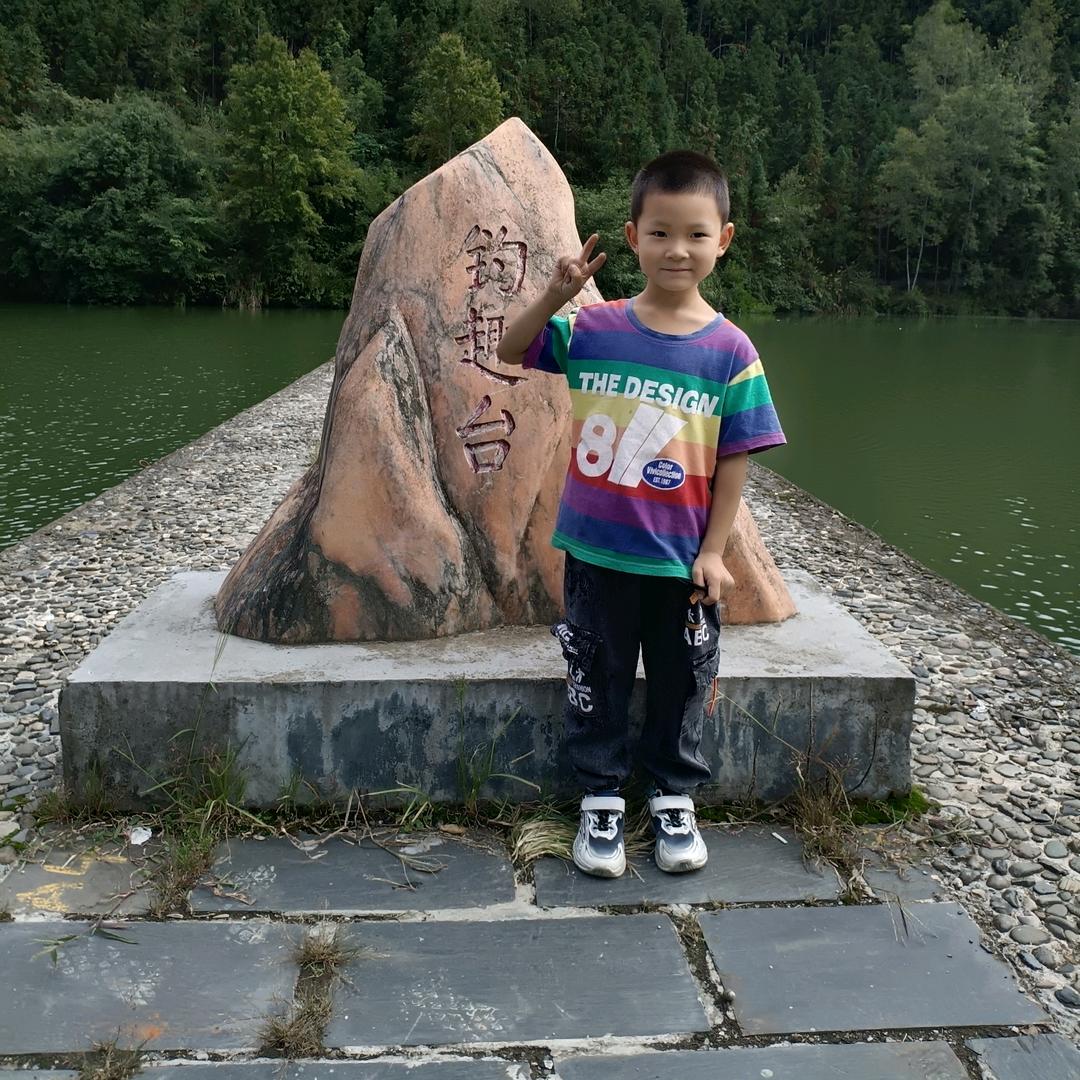 平利杨友才