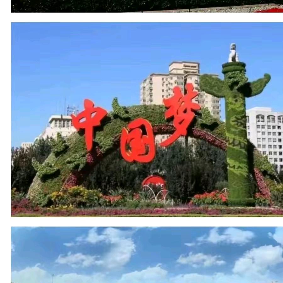 用户8383844601418