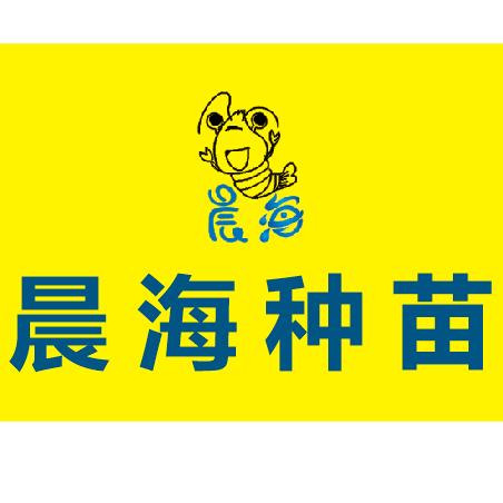 晨海虾苗场