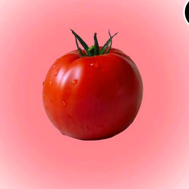 爱吃番茄炒蛋🍅