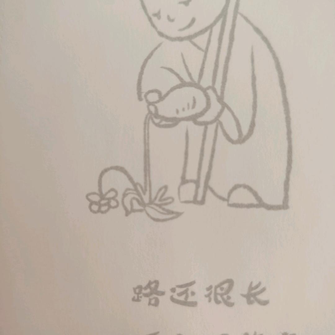 华丽的欣伤