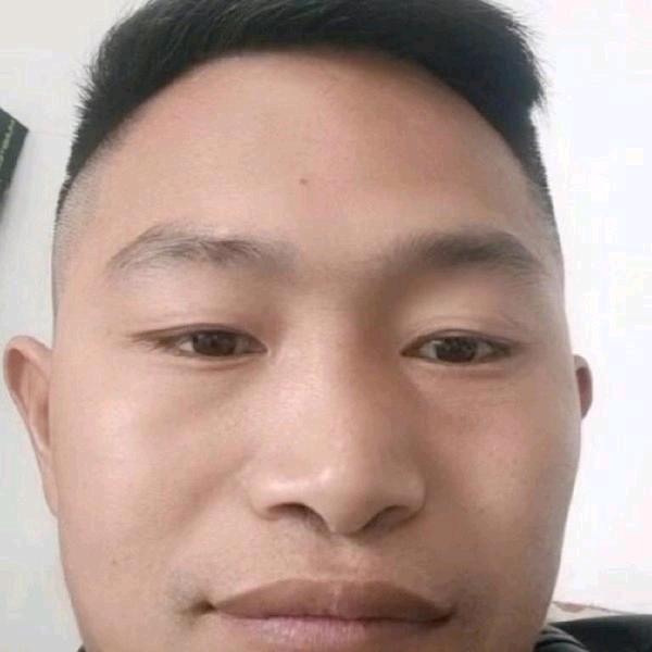 真心实意