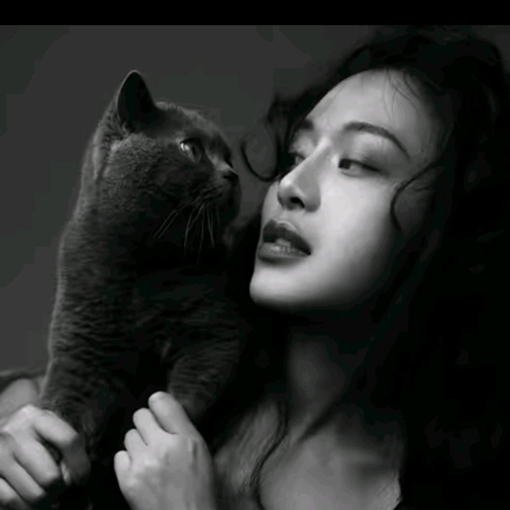 马乖-直播爆款返场