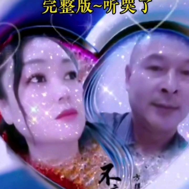 孤雁向南飞