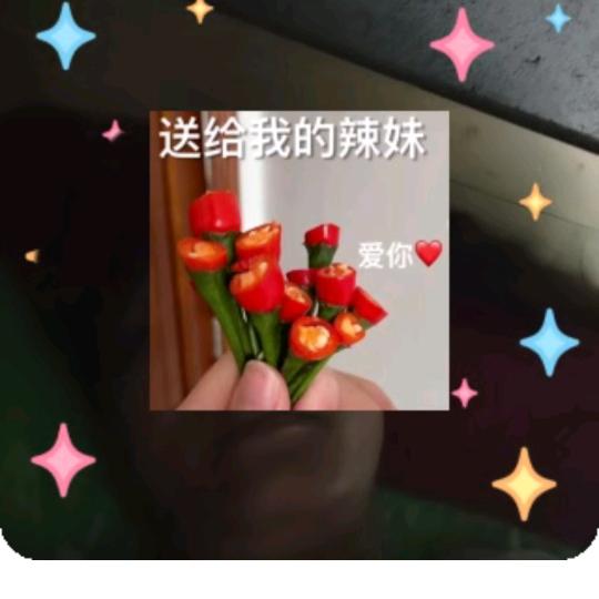 人生入戏，戏弄人生