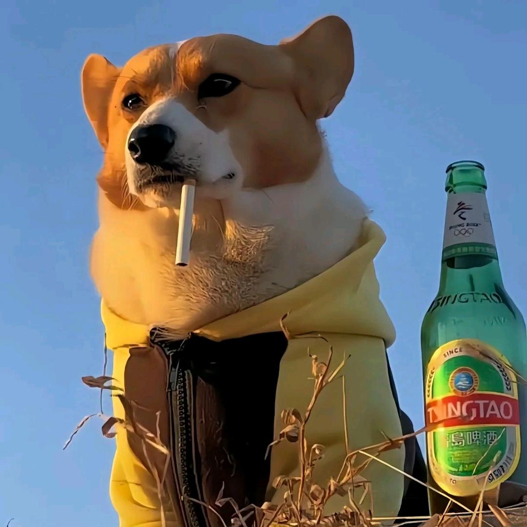 拾柒没有拾别