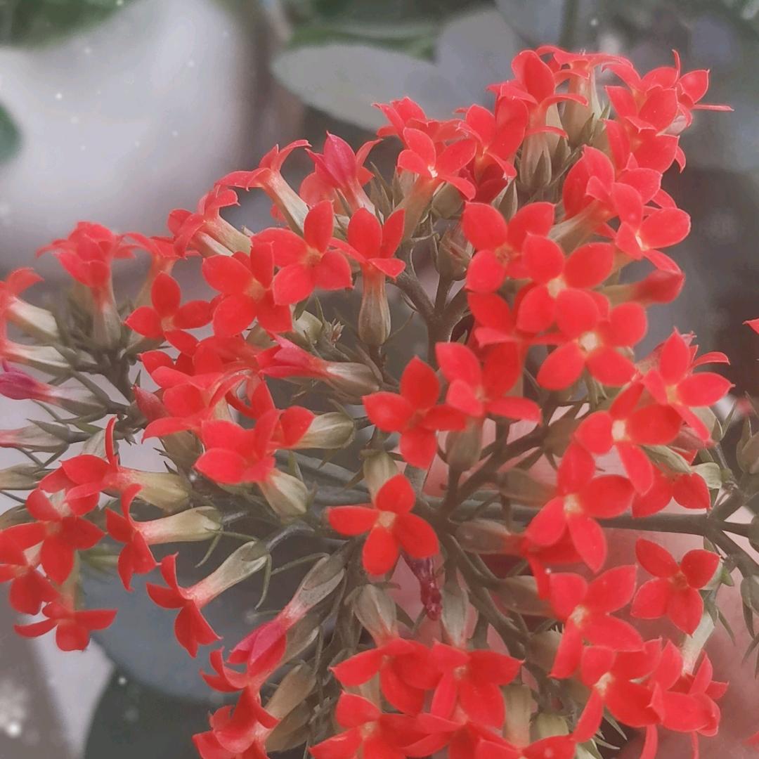 化肥厂桥头~骨汤麻辣串串香